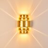 Handan Muurlamp Goud, 1-licht