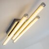 Iskut Plafondlamp LED Chroom, 3-lichts