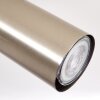 Zuoz Plafondlamp Chroom, Nikkel mat, 5-lichts