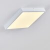 Broglen Plafondlamp LED Wit, 1-licht