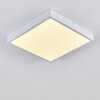 Broglen Plafondlamp LED Wit, 1-licht