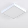 Broglen Plafondlamp LED Wit, 1-licht