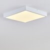 Broglen Plafondlamp LED Wit, 1-licht