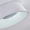 Fremont Plafondlamp LED Wit, 1-licht, Afstandsbediening