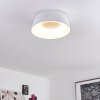 Fremont Plafondlamp LED Wit, 1-licht, Afstandsbediening