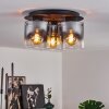 Wichita Plafondlamp Rookkleurig, Zwart, 3-lichts