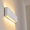 Tinglev Buiten muurverlichting LED Wit, 2-lichts