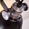 Gudo Plafondlamp Zwart, Zilver, 2-lichts