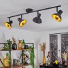 Neiden Plafondlamp Zwart-Goud, 4-lichts