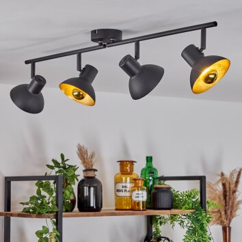 Neiden Plafondlamp Zwart-Goud, 4-lichts