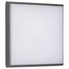 LCD TYP 5061 Buitenshuis plafond verlichting LED Zwart, 1-licht