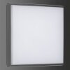 LCD TYP 5061 Buitenshuis plafond verlichting LED Zwart, 1-licht