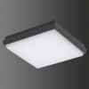 LCD TYP 5061 Buitenshuis plafond verlichting LED Zwart, 1-licht