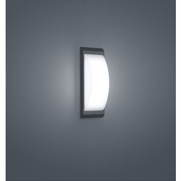 Helestra Kapo Buiten muurverlichting LED Grijs, 1-licht