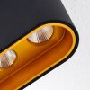 Dalarna Plafondlamp LED Zwart-Goud, 1-licht