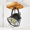 Malix Plafondlamp Bruin, Zwart, 1-licht