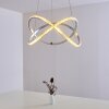 Saginaw Hanger LED Nikkel mat, 1-licht, Afstandsbediening, Kleurwisselaar