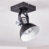 Gudo Plafondlamp Zwart, Zilver, 1-licht