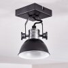 Gudo Plafondlamp Zwart, Zilver, 1-licht