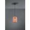 Trio Runa Hanglamp Zwart, 1-licht