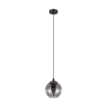 EGLO ARISCANI Hanger Zwart, 1-licht