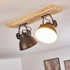 Svanfolk Plafondlamp Bruin, Zwart, Wit, 2-lichts