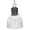 Steinhauer Clearvoyant Hanglamp Transparant, Helder, 1-licht