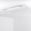 Salmi Plafondlamp LED Wit, 1-licht, Afstandsbediening, Kleurwisselaar