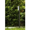 Trio SUEZ Buiten staande lamp LED Zwart, 1-licht