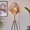 Wesa Staande lamp Antiek nikkel, 1-licht