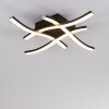 Letala Plafondlamp LED Zwart, 4-lichts
