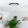 Siguna Plafondlamp LED Zwart, 1-licht