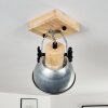 Orny Plafondlamp Bruin, Gegalvaniseerd, 1-licht