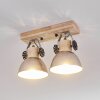Orny Plafondlamp Bruin, Gegalvaniseerd, 2-lichts
