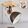 Orny Plafondlamp Bruin, Zwart, 1-licht