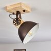 Orny Plafondlamp Bruin, Zwart, 1-licht