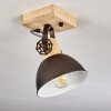 Orny Plafondlamp Bruin, Zwart, 1-licht
