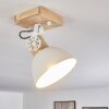 Orny Plafondlamp Bruin, Wit, 1-licht