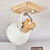 Orny Plafondlamp Bruin, Wit, 1-licht