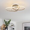 Sucre Plafondlamp LED Staal geborsteld, 4-lichts