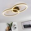 Korca Plafondlamp LED Zwart, 2-lichts