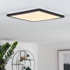 Siguna Plafondlamp LED Zwart, Wit, 1-licht