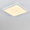Siguna Plafondlamp LED Wit, 1-licht