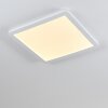 Siguna Plafondlamp LED Wit, 1-licht