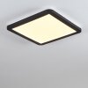 Siguna Plafondlamp LED Zwart, Wit, 1-licht