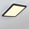 Siguna Plafondlamp LED Zwart, Wit, 1-licht