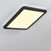 Siguna Plafondlamp LED Zwart, Wit, 1-licht