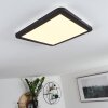 Siguna Plafondlamp LED Zwart, Wit, 1-licht