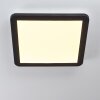 Siguna Plafondlamp LED Zwart, Wit, 1-licht