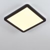 Siguna Plafondlamp LED Zwart, Wit, 1-licht